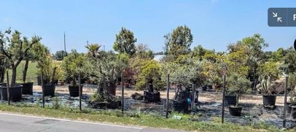 Grundstück in Stanghella, Italy 3000m², Nr. 304386 3