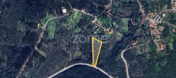 6530m² Land in Ansiao, Portugal No. 86070 12