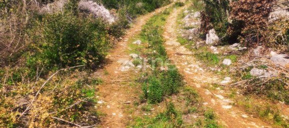 6530m² Land in Ansiao, Portugal No. 86070 24