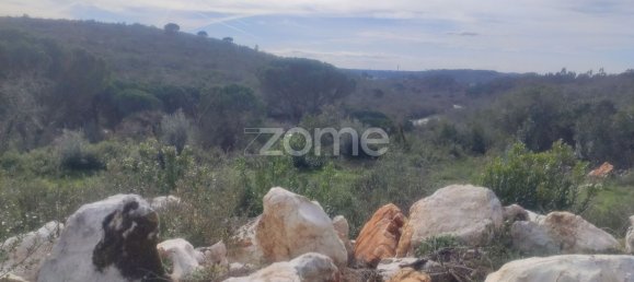 6530m² Land in Ansiao, Portugal No. 86070 5