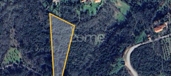 6530m² Land in Ansiao, Portugal No. 86070 14