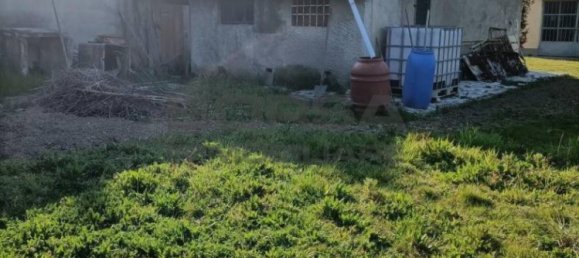 1 chambre Appartement à Collesalvetti, Italy No. 179053 2