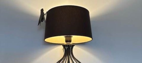 3-salle Appartement à Vallecrosia, Italy No. 210209 5