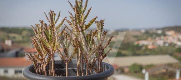 5 Schlafzimmer Stadthaus in Torres Vedras, Portugal, Nr. 78561 46