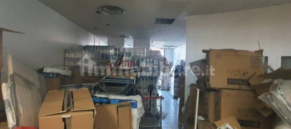 1 room Commercial property in Lendinara, Italy No. 55094 3