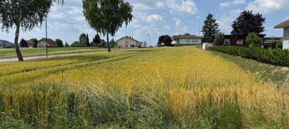  Land in Kohfidisch, Austria No. 130447 2