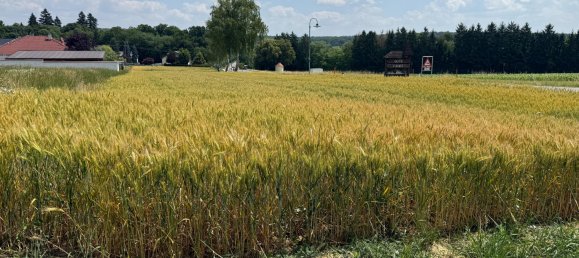  Land in Kohfidisch, Austria No. 130447 3