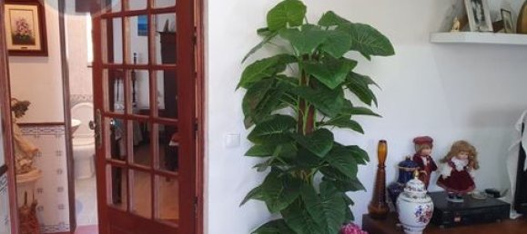 2 Schlafzimmer Bungalow in Cabeceiras de Basto, Portugal, Nr. 190041 46