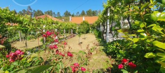 2 Schlafzimmer Bungalow in Cabeceiras de Basto, Portugal, Nr. 190041 25