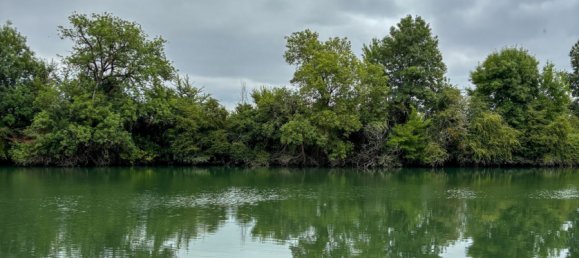 3 bedrooms House in Saintes, France No. 319491 8