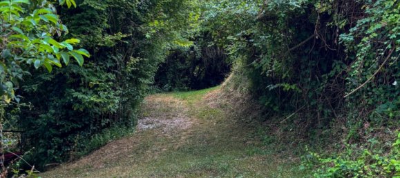 3 bedrooms House in Saintes, France No. 319491 9