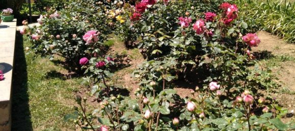 6 bedrooms Villa in Ronciglione, Italy No. 332424 8