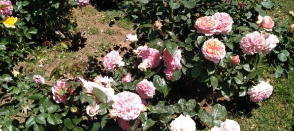 6 bedrooms Villa in Ronciglione, Italy No. 332424 12