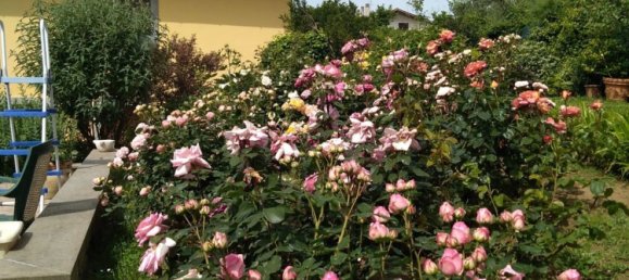 6 bedrooms Villa in Ronciglione, Italy No. 332424 3