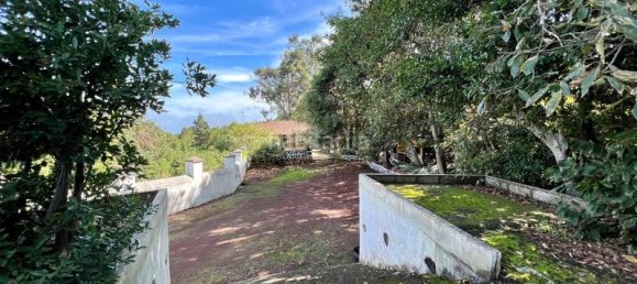 2 bedrooms House in Tenerife, Spain No. 63946 26