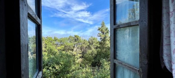 2 bedrooms House in Tenerife, Spain No. 63946 22