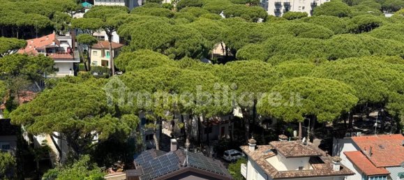 1 غرف نوم شقة في Cervia, Italy رقم 308587 20