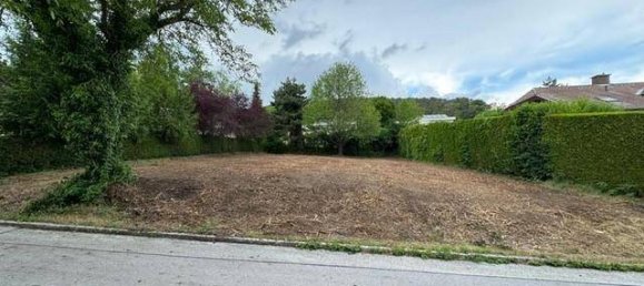 Terreno en Baden, Austria No. 113921 5