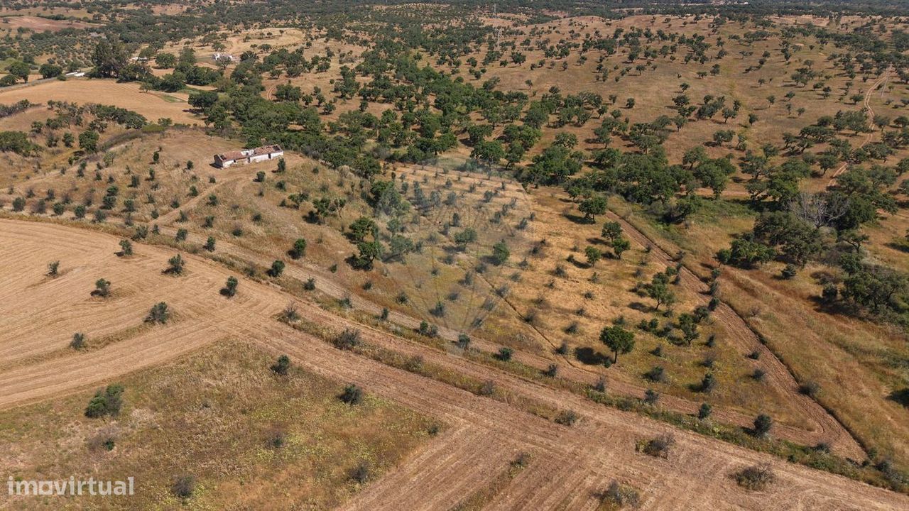 9 bedrooms House in Santiago do Cacem, Portugal No. 333419