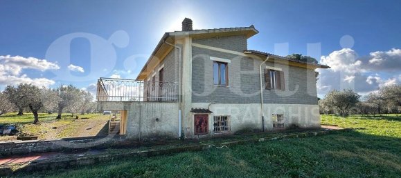7 rooms Villa in Manziana, Italy No. 237362 16