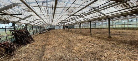 Grundstück in Wandsbek, Germany, Nr. 357980 3