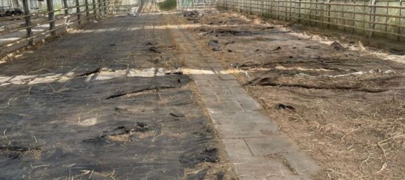 Grundstück in Wandsbek, Germany, Nr. 357980 10