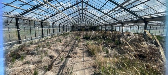 Grundstück in Wandsbek, Germany, Nr. 357980 11