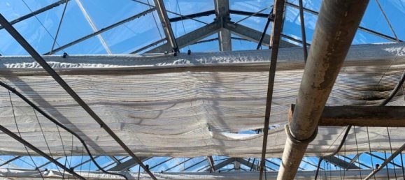 Grundstück in Wandsbek, Germany, Nr. 357980 9