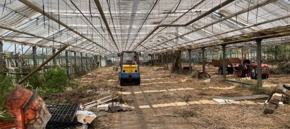 Grundstück in Wandsbek, Germany, Nr. 357980 8