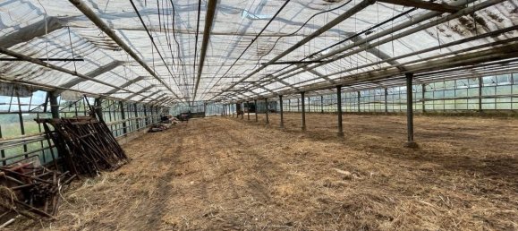 Grundstück in Wandsbek, Germany, Nr. 357980 12