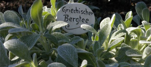 Edificio de 11 habitaciónes en Alzey-Worms, Germany No. 118239 12