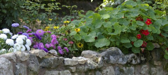 Edificio de 11 habitaciónes en Alzey-Worms, Germany No. 118239 9
