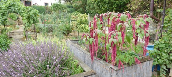 Edificio de 11 habitaciónes en Alzey-Worms, Germany No. 118239 11