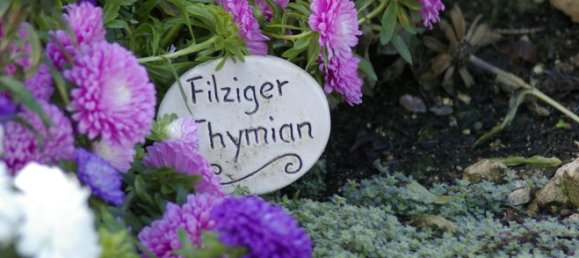 Edificio de 11 habitaciónes en Alzey-Worms, Germany No. 118239 32