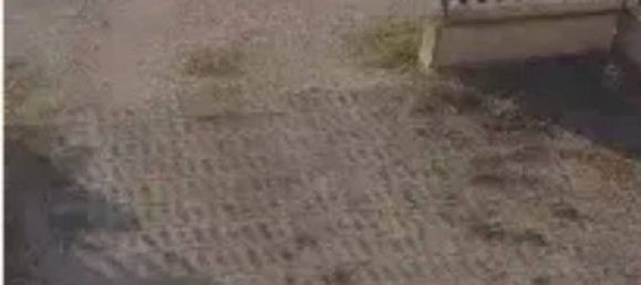 Studio à Castiglione del Lago, Italy No. 157063 3