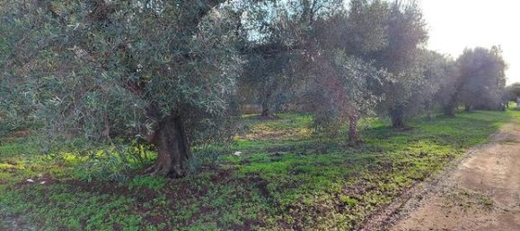 Terreno en Mesagne, Italy 4080 m² No. 251632 2