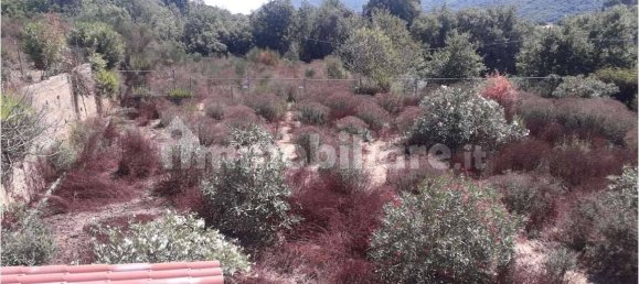 2 bedrooms Villa in Albenga, Italy No. 106900 13