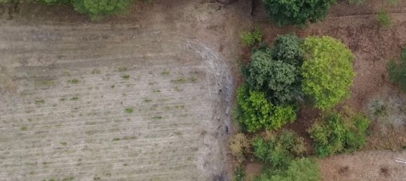 Земельный участок в Листрак-Медок, Франция № 321646 2