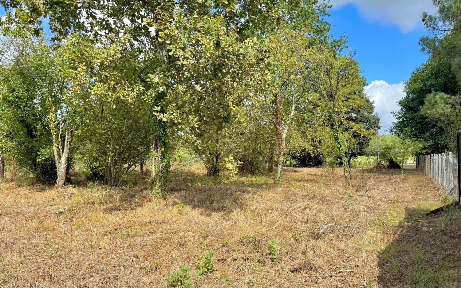 Земельный участок в Листрак-Медок, Франция № 321646