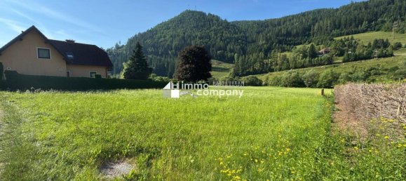  Land in Bruck-Murzzuschlag, Austria No. 132053 3