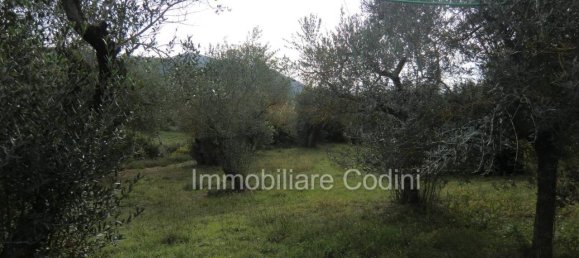 5 rooms House in Massa Martana, Italy No. 22228 2