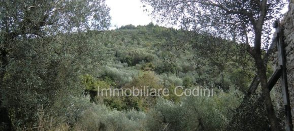 5 rooms House in Massa Martana, Italy No. 22228 10
