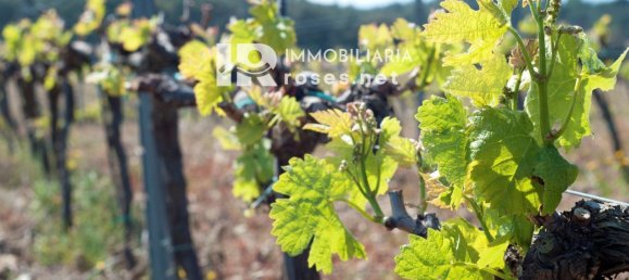 Terrain à Garriguella, Spain 561m² No. 73551 5