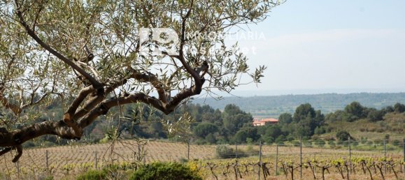 Terrain à Garriguella, Spain 561m² No. 73551 4