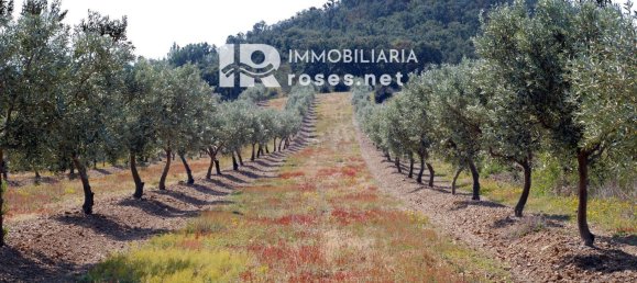 Terrain à Garriguella, Spain 561m² No. 73551 6