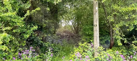 Terreno em Rhein-Sieg, Germany N.º 133772 4