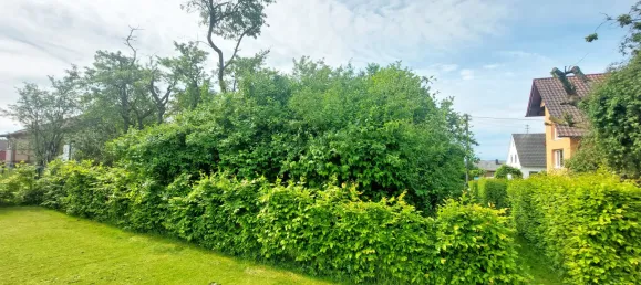 Terreno em Rhein-Sieg, Germany N.º 133772 5