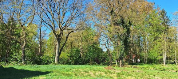  Land in Friesland, Germany No. 306714 4