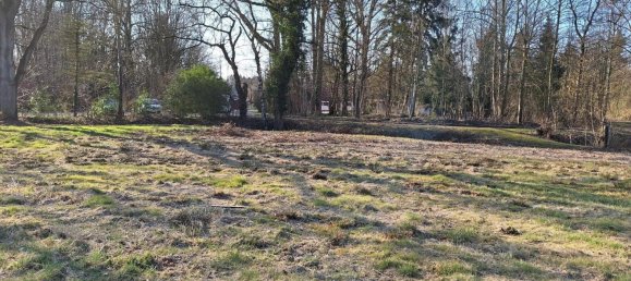  Land in Friesland, Germany No. 306714 3