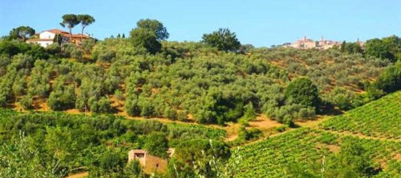 Studio in Montepulciano, Italy No. 1455 2